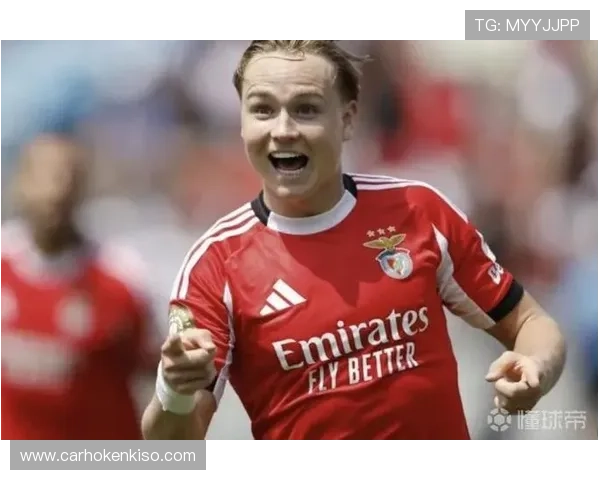 谢尔德鲁普：得分效率不足导致失望结果